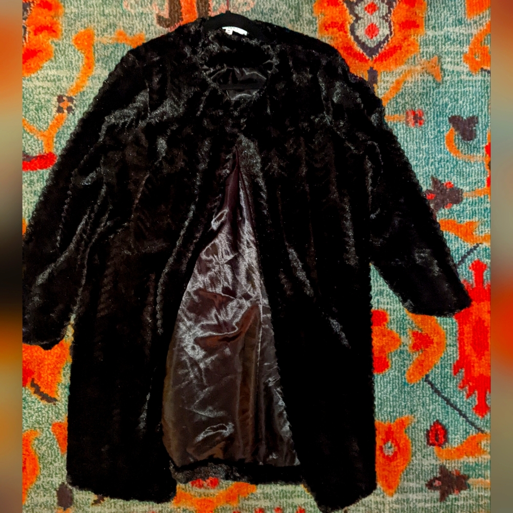 Beautiful dress coat